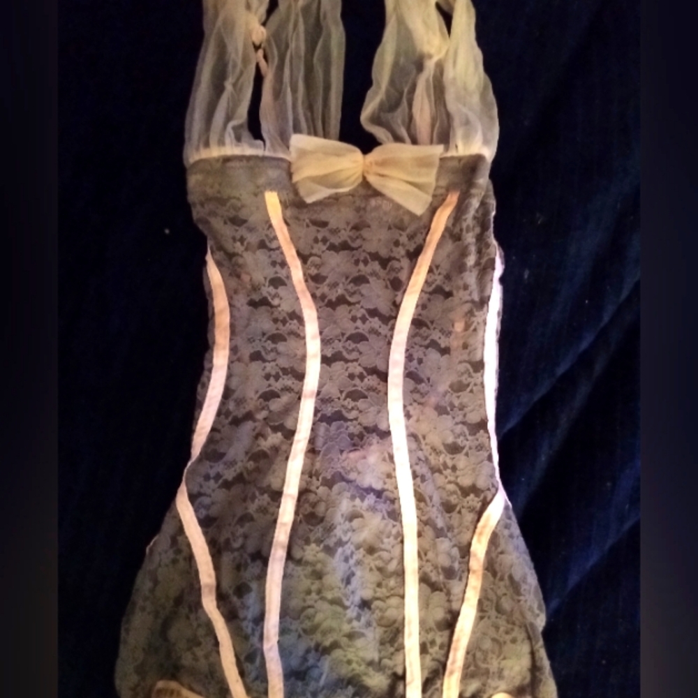 Elegant Gray And Pink Lace Lingerie, Shirley Brand, XS